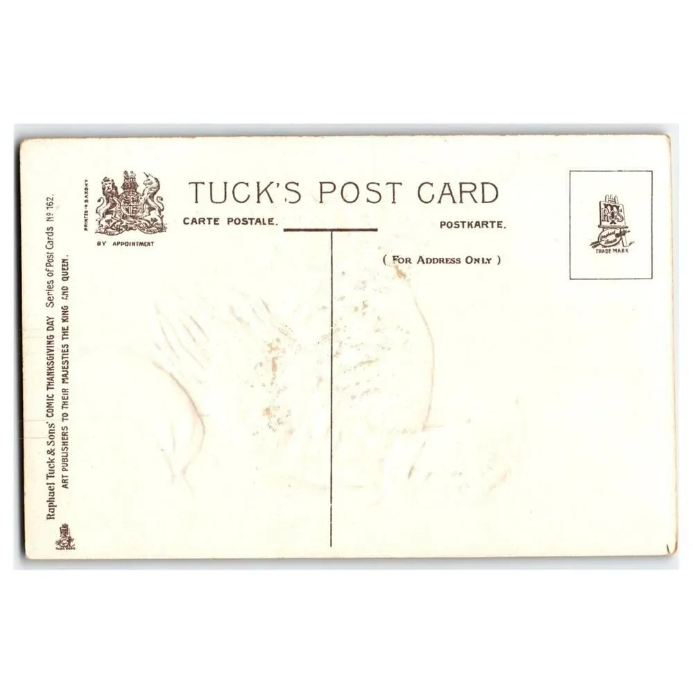 Raphael Tuck Comic Thanksgiving Turkey Postcard No 162 